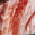 Red Camo